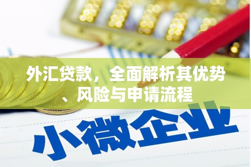 化德外汇贷款，全面解析其优势、风险与申请流程