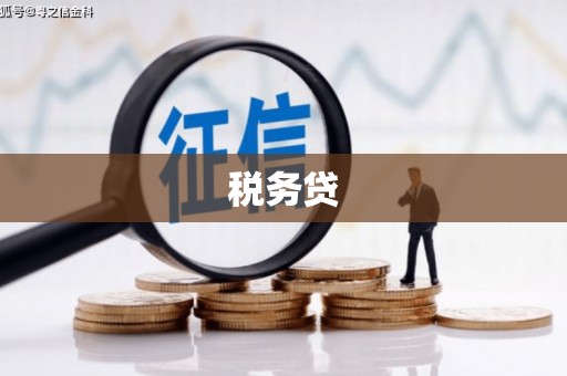 化德税务贷