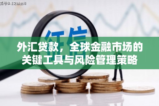 化德外汇贷款，全球金融市场的关键工具与风险管理策略