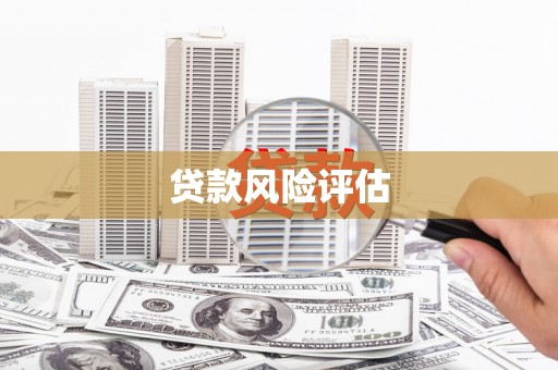 化德贷款风险评估