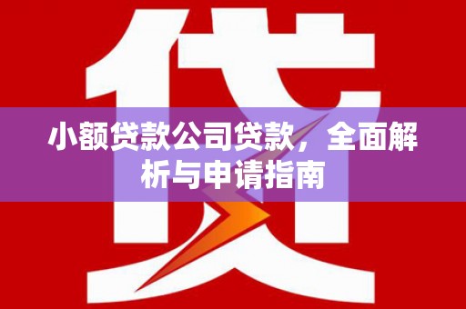 化德小额贷款公司贷款，全面解析与申请指南