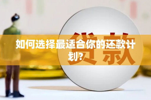 化德如何选择最适合你的还款计划？