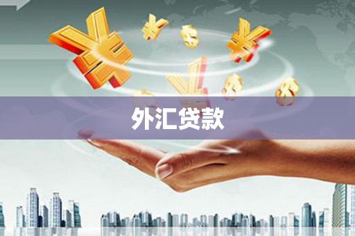 化德外汇贷款