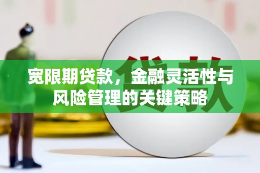化德宽限期贷款，金融灵活性与风险管理的关键策略
