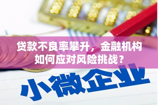 化德贷款不良率攀升，金融机构如何应对风险挑战？