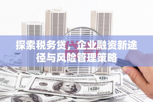 化德探索税务贷，企业融资新途径与风险管理策略