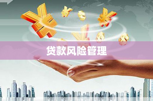 化德贷款风险管理