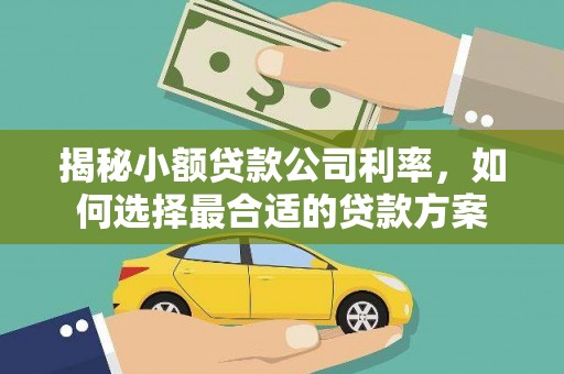 化德揭秘小额贷款公司利率，如何选择最合适的贷款方案