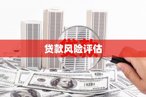 化德贷款风险评估