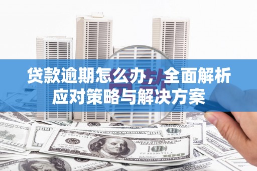 化德贷款逾期怎么办，全面解析应对策略与解决方案